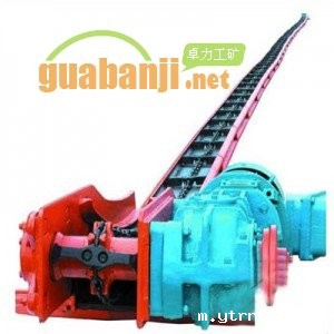 SGD型单链伟德国际韦德1946